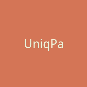 UniqPaid.com 数字支付平台官网