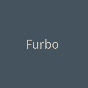 Furbo 智能宠物监控摄像头海淘网站官网