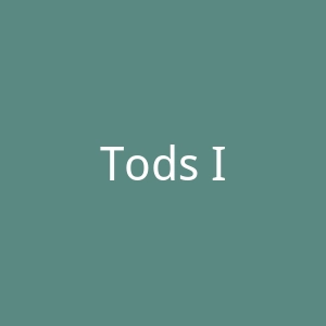 Tods IT意大利鞋履和包袋海淘网站官网