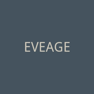 EVEAGETOOL 高压清洗机海淘网站官网