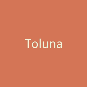 Toluna 国外市场调查问卷马来西亚网站官网