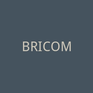 BRICOMAN 意大利建筑、翻新和维护服务商官网