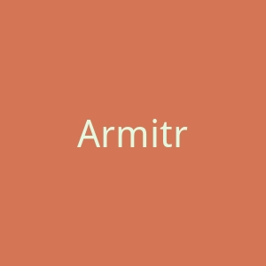 Armitron 男士手表海淘网站官网