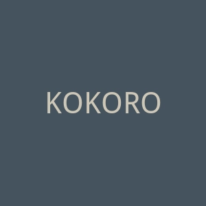 KOKOROSA 切割模具海淘网站官网