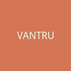 VANTRUE 中国行车记录仪跨境海淘网站官网