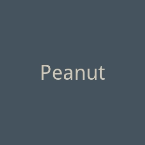 Peanuts 美国个性化定制化服饰海淘网站官网