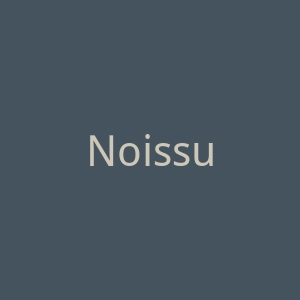 Noissue 可持续且环保的定制包装网站官网