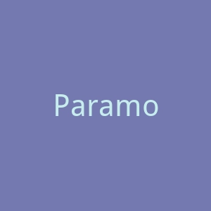 Paramount+ US 美国流媒体视频服务网站官网