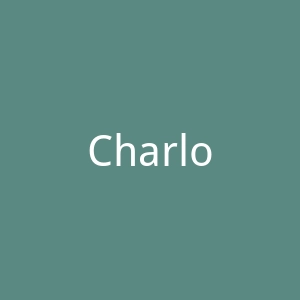 Charlotte Mills美国奢华新娘高跟鞋海淘网站官网