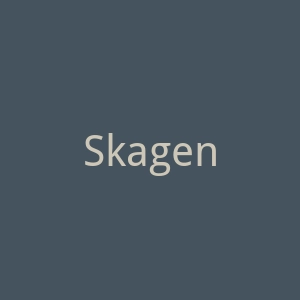 Skagen 丹麦手表珠宝设计品牌官方网站官网