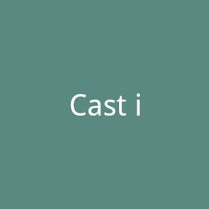 Cast in Style 铸造风格铸铁家居用品购物网站官网