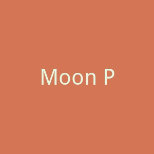 Moon Pod 缓解压力零重力豆袋购物网站官网