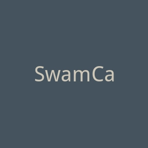 SwamCam 游泳池监控报警系统购物网站官网