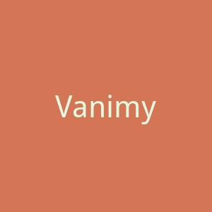 Vanimy 现代高端银饰品牌购物网站官网