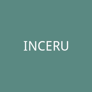 INCERUNMEN男性时尚潮流男装购物网站官网