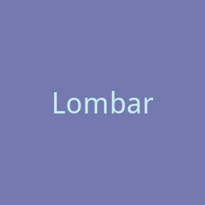 Lombardo美国隆巴顿无酒精饮料购物网站官网