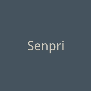Senprints.com 定制T恤在线商店官网