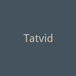 Tatvida 高性能纹身机海淘网站官网