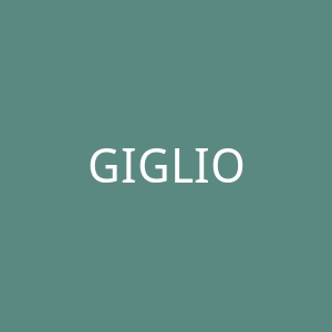 GIGLIO.COM 奢侈品牌服装海淘网站官网