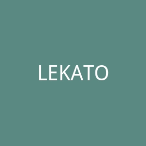LEKATO 乐器、踏板、无线设备购物网站官网