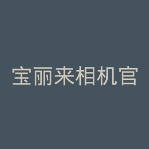 宝丽来相机官网