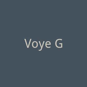 Voye Global  国际旅行eSIM服务网站官网