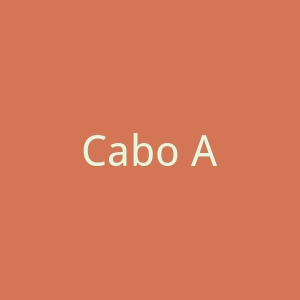 Cabo Adventures旅游服务提供商官网