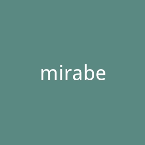 mirabellocarrara.it官网