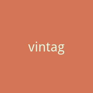 vintagedressed.com官网