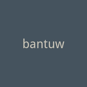 bantuwax.com官网