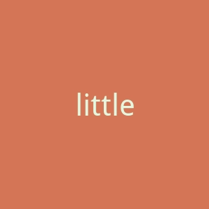 littletoyboutique.com官网