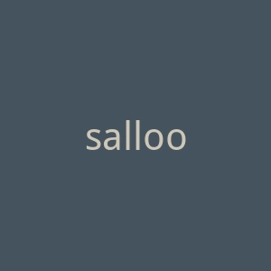 sallootbeauty.com官网