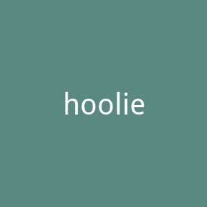 hooliegolf.com官网