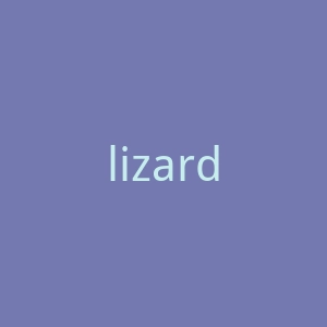 lizardfashion.vn官网