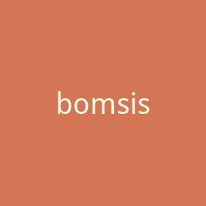 bomsister.vn官网