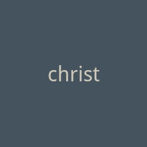 christmastreesdirect.co.uk官网