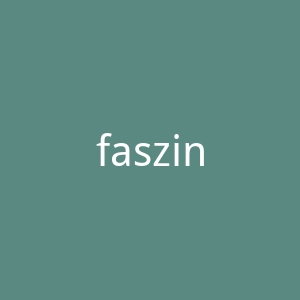 faszin.com官网