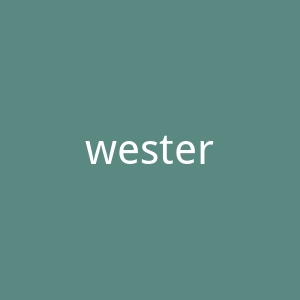 westernunion.com官网
