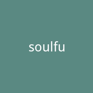 soulfulbee.com官网