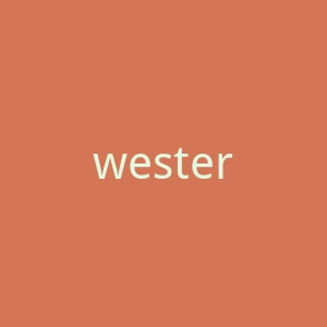 westernunion.com-3官网