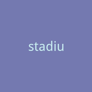 stadiumvagabond.com官网