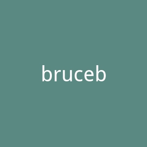 brucebolt.us官网