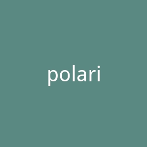 polarixdisc.com官网