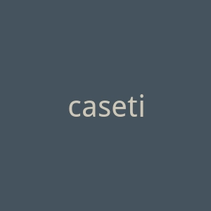 casetify.com官网