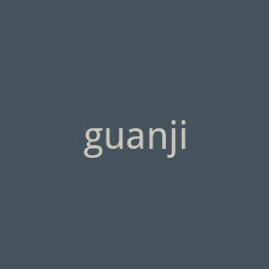 guanjia.seowhy.com官网