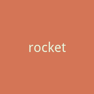rocketdollar.com官网