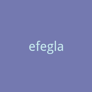 efeglasses.com官网