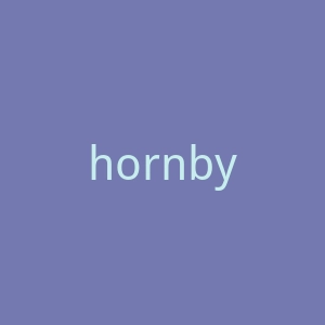 hornbyhobbies.com官网