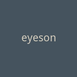 eyeson.team官网