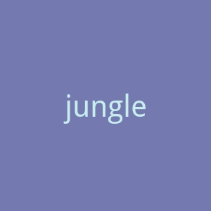 junglescout.com官网